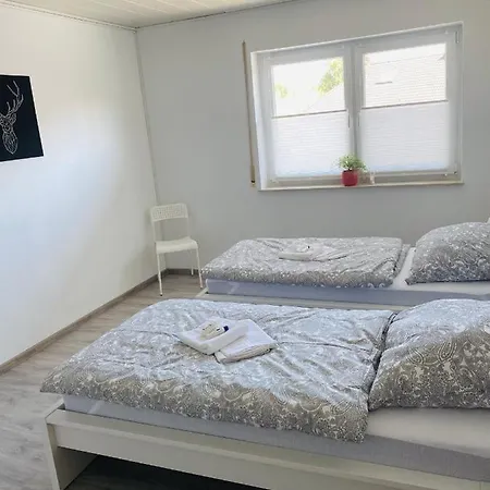 Platzhirsch * Mücke