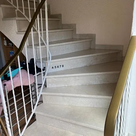 Platzhirsch * Mücke