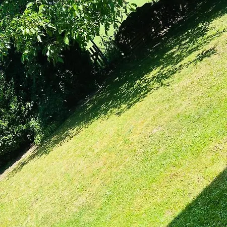 Platzhirsch * Mücke