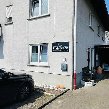 Platzhirsch Pensjonat *