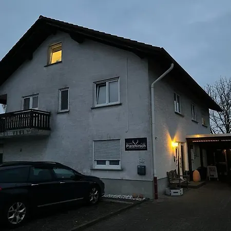 Platzhirsch * Mücke