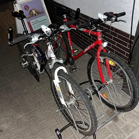 Platzhirsch *