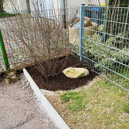 Platzhirsch Pensjonat *