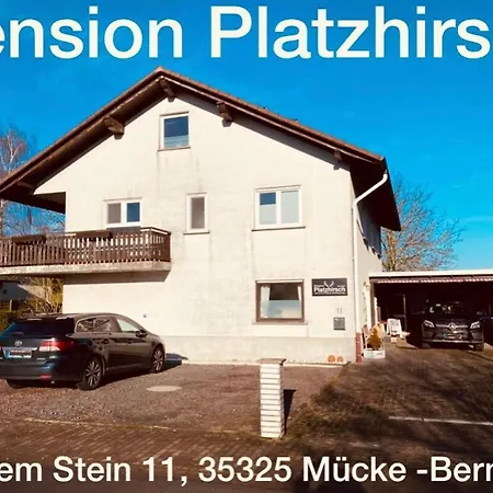 Platzhirsch *