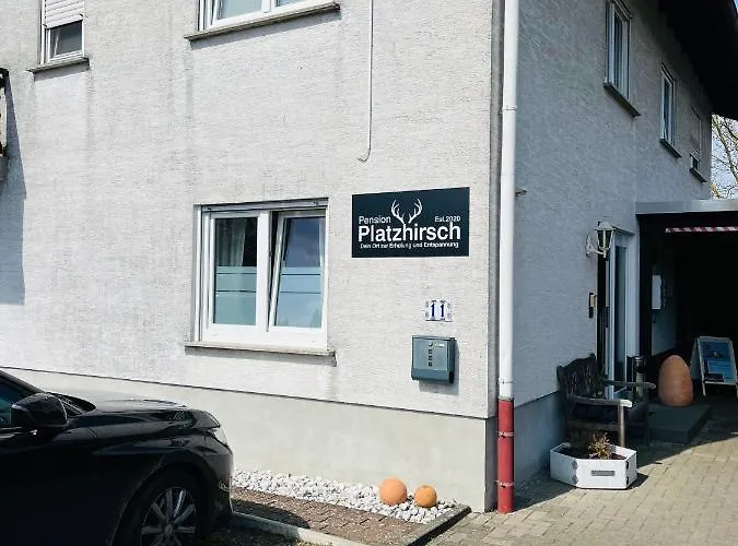 Platzhirsch Guest house *