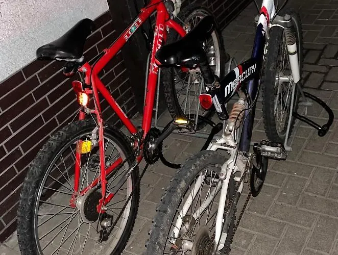 Guest house Platzhirsch *