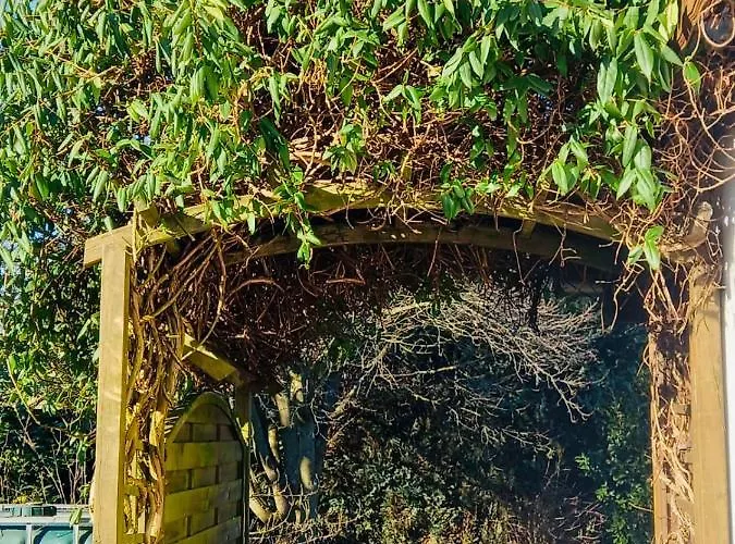 Platzhirsch Guest house Mucke